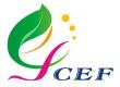 CEF-中国大学生环境组