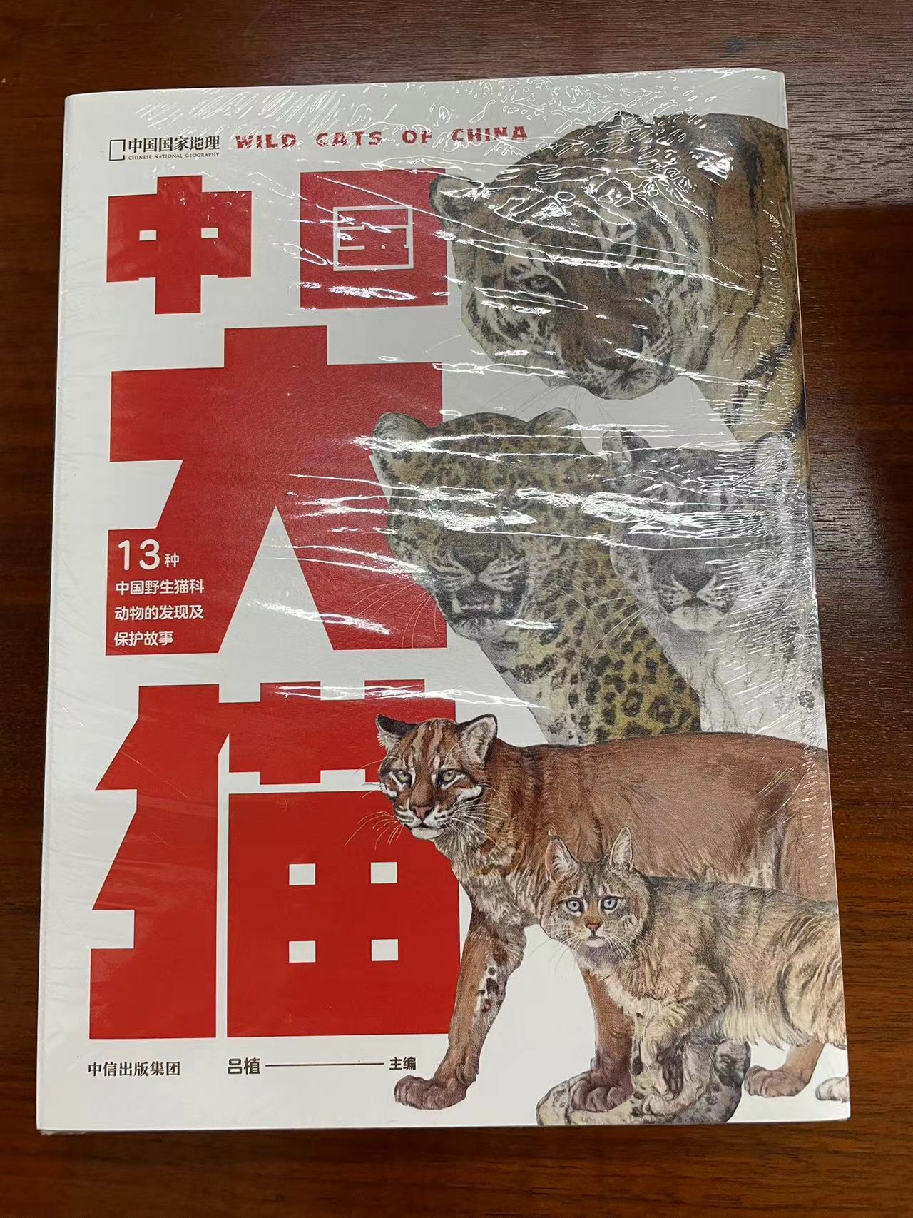 中国大猫.jpg