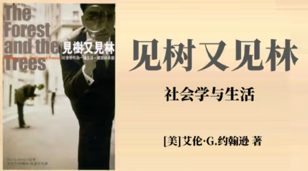 见树又见林.png