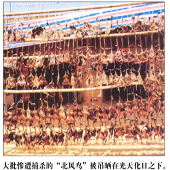 09.jpg