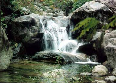clip_image002.jpg