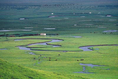 甘肃玛曲湿地家园.jpg