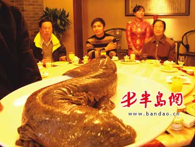 Img246787725.jpg