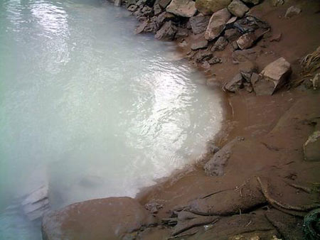 20061223020008c68eb.jpg