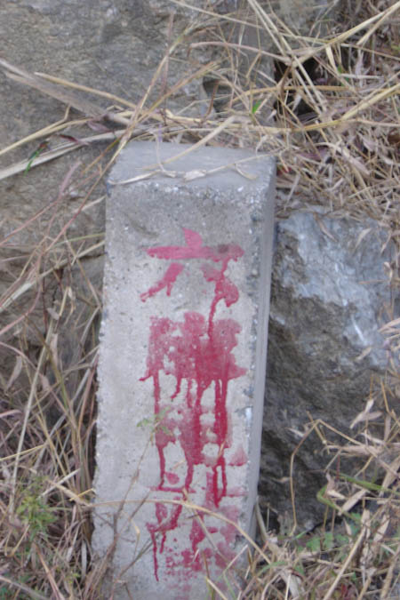 2300067141007.jpg