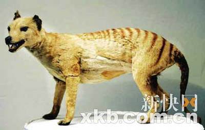 img2.jpg