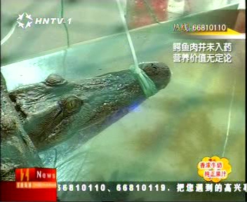 xinsrc_281203201430062165954.jpg