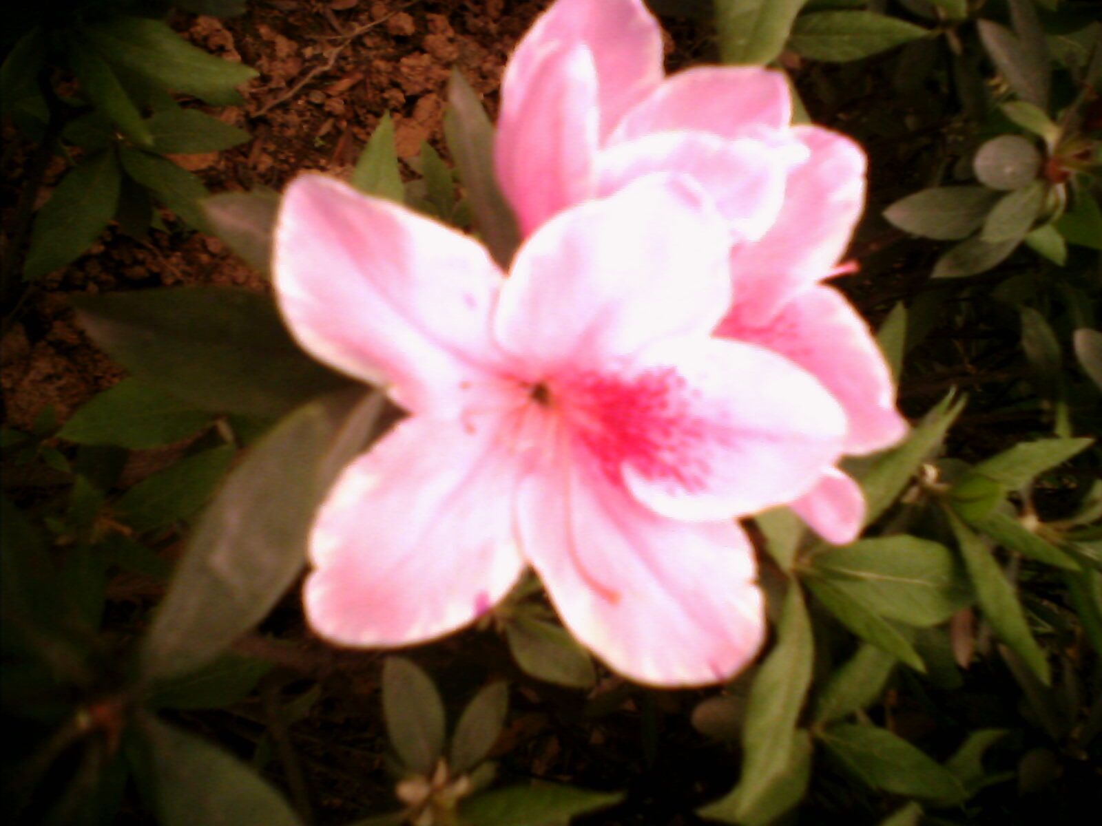 IMG0304A.jpg