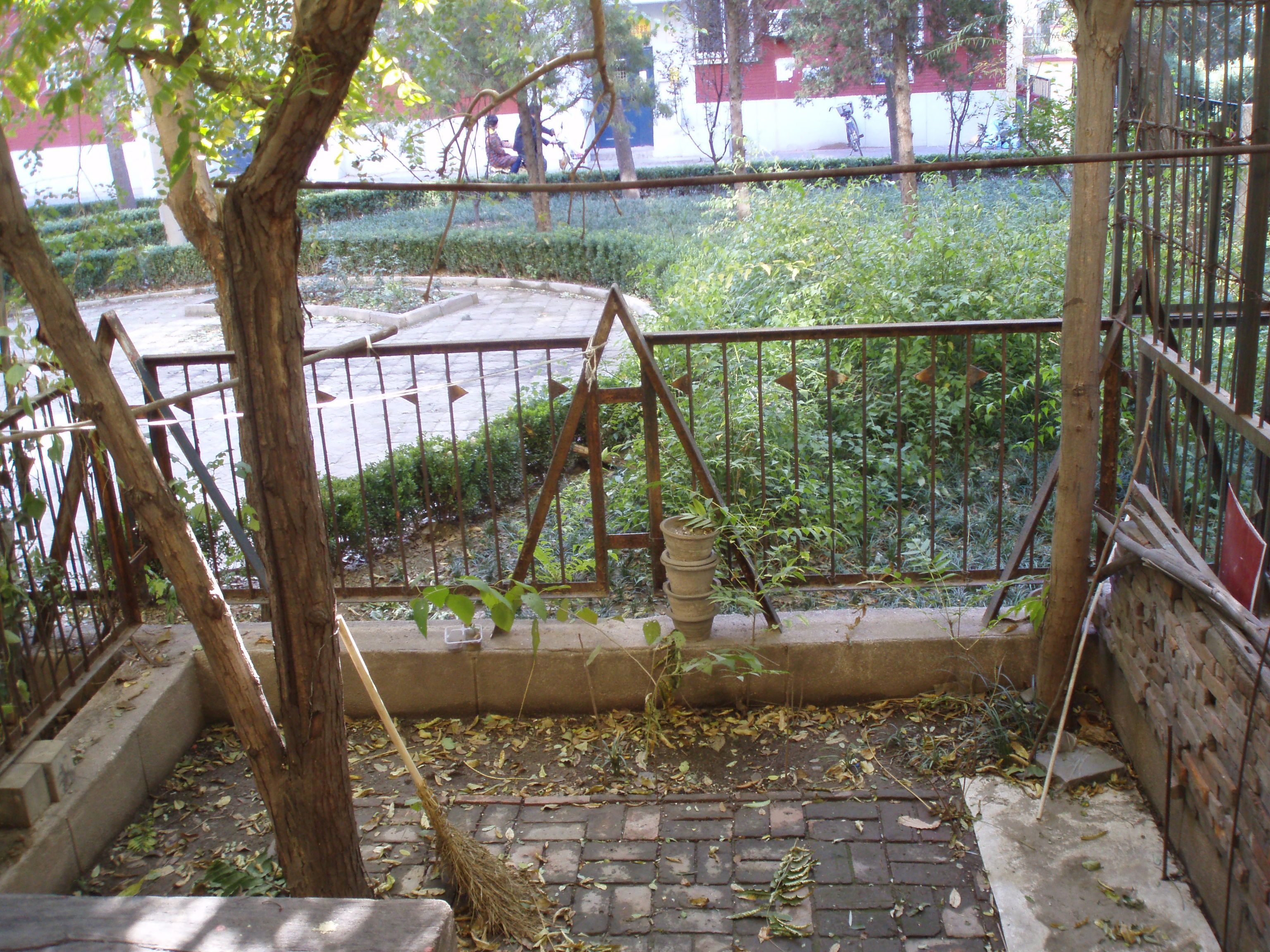PB030105.JPG