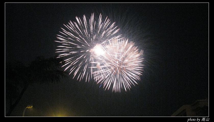 烟花 (4).jpg