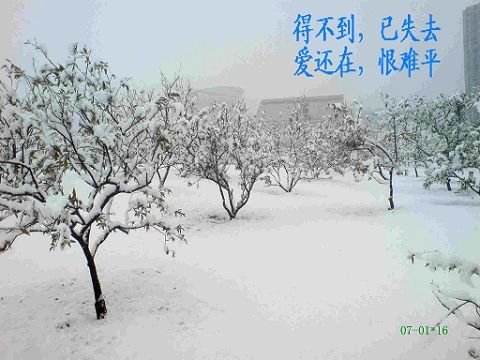PD_DSC00052.jpg