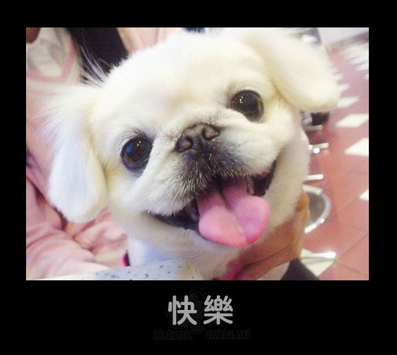 快乐.jpg