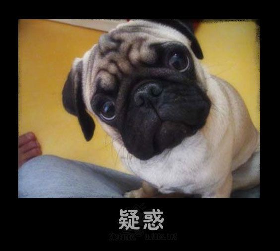 疑惑.jpg