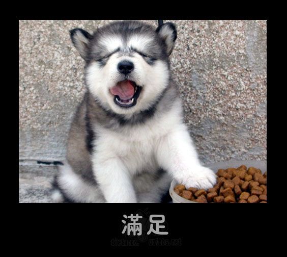 满足.jpg