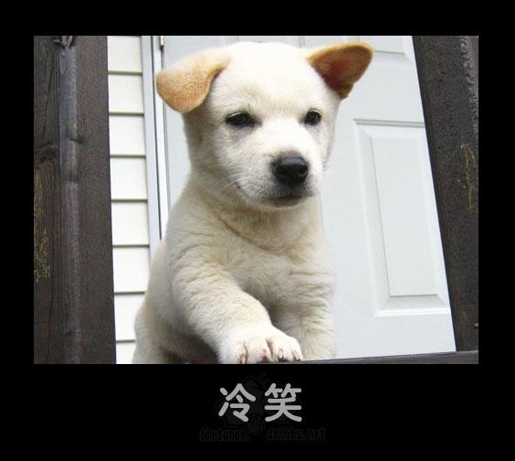 冷笑.jpg