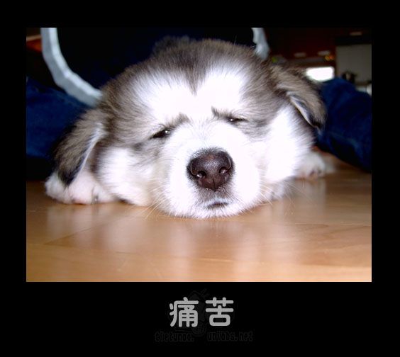 痛苦.jpg