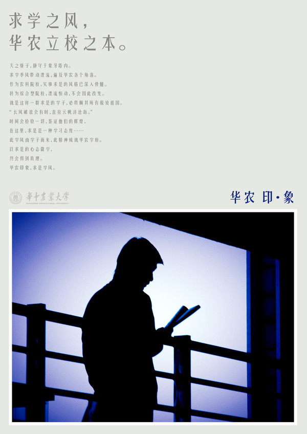 large_7672f66.jpg