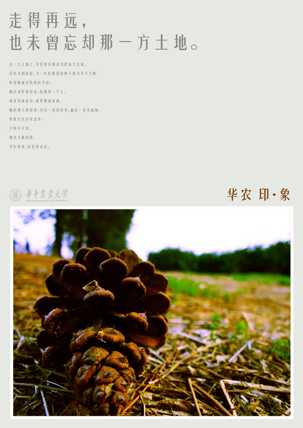 large_7039m61.jpg