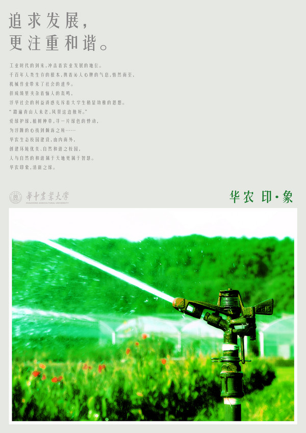 large_177h69.jpg