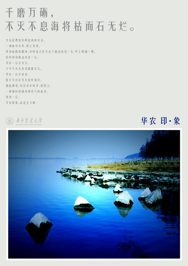 large_7325e61.jpg