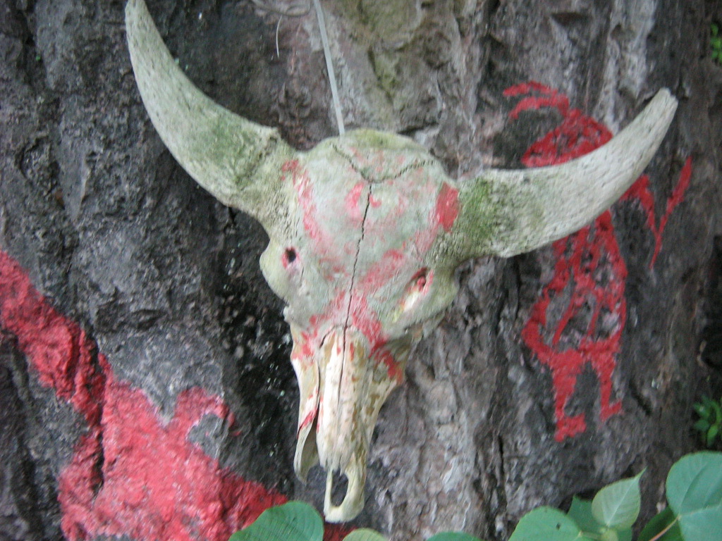 照片 077.jpg
