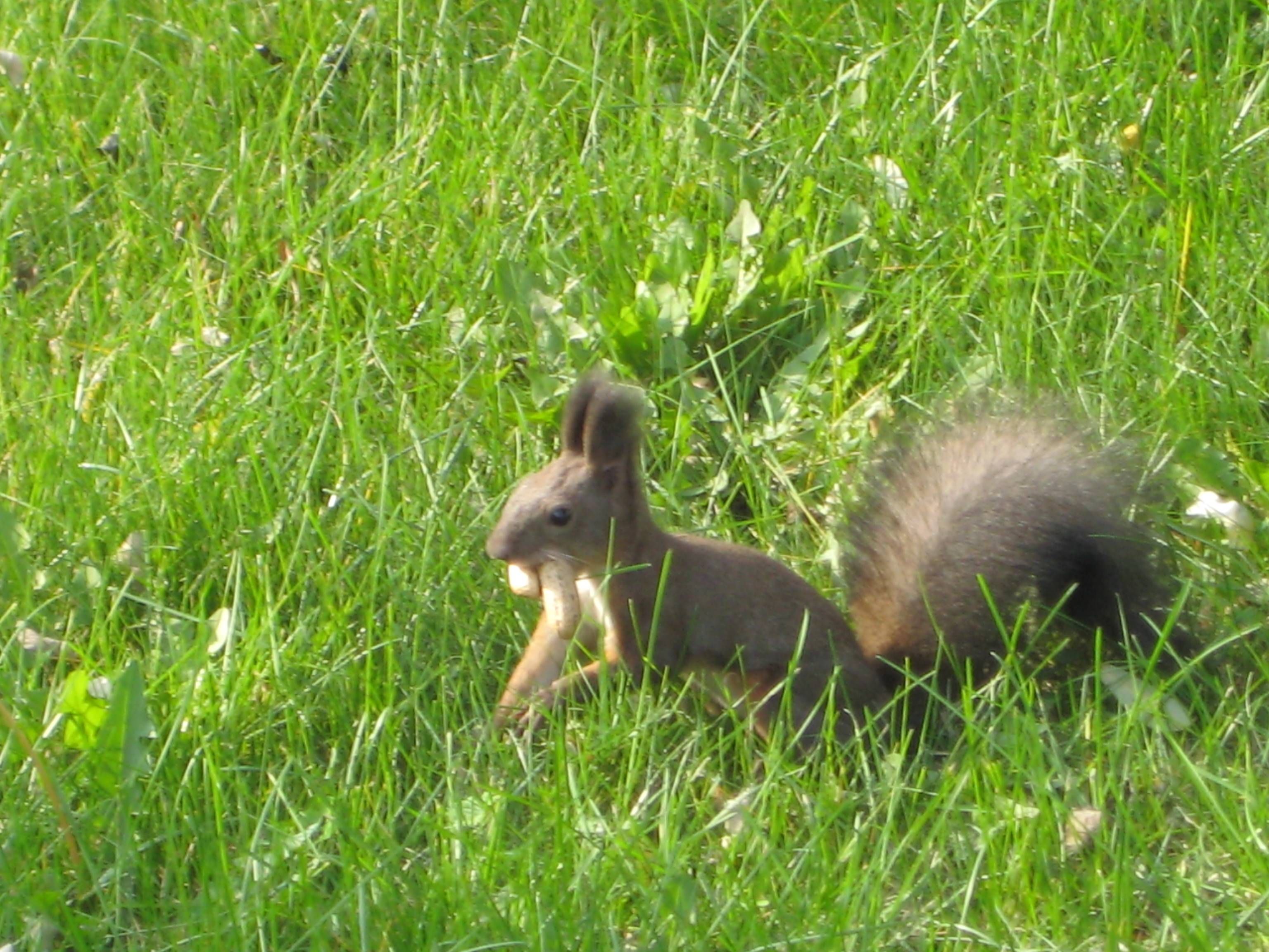 IMG_4683.JPG