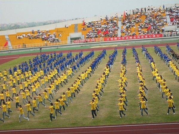 large_495g56.jpg