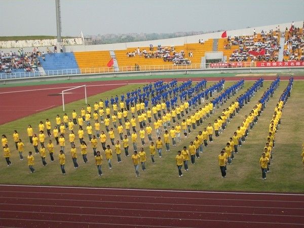 large_535o56.jpg