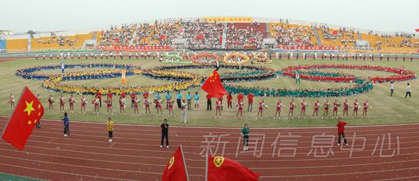 large_2912g63.jpg
