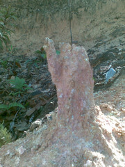 111.jpg