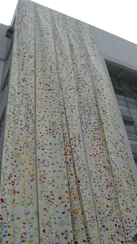 IMG_5672.jpg