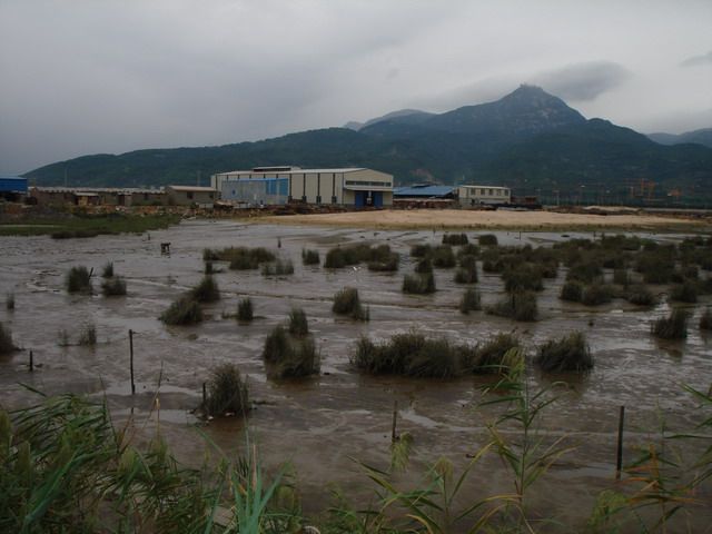 胪歧洲湿地早就被歹人填埋一大片盖起了工厂.jpg