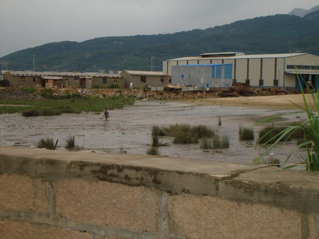 这些工厂矗立在江堤外的确湿地上.jpg