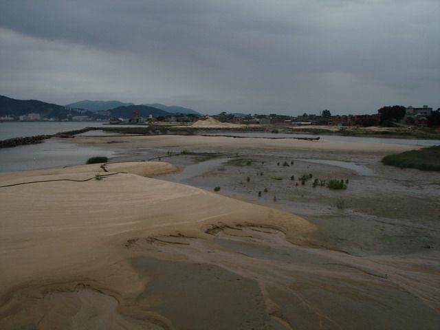 胪歧洲湿地已经被大部分填埋.jpg