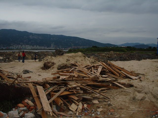 先吸沙再填土后建房—歹人破坏湿地三步骤2.jpg