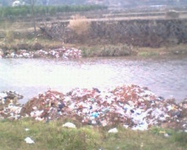 IMG0138A.jpg