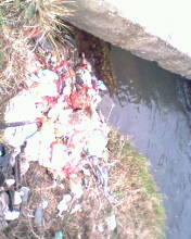 IMG0131A.jpg