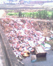 IMG0136A.jpg
