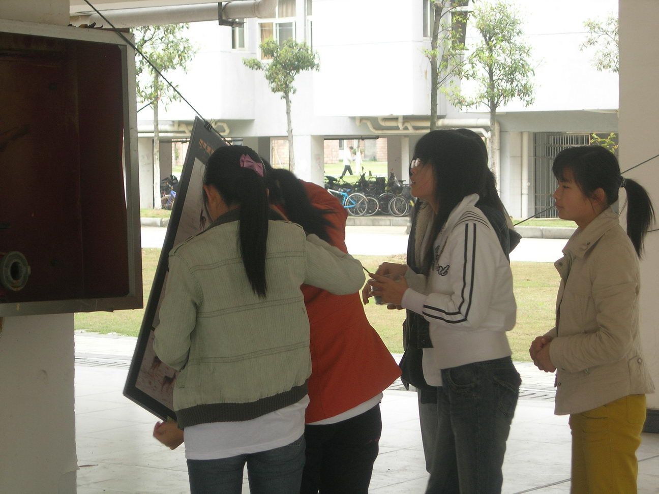 DSCN8152.JPG