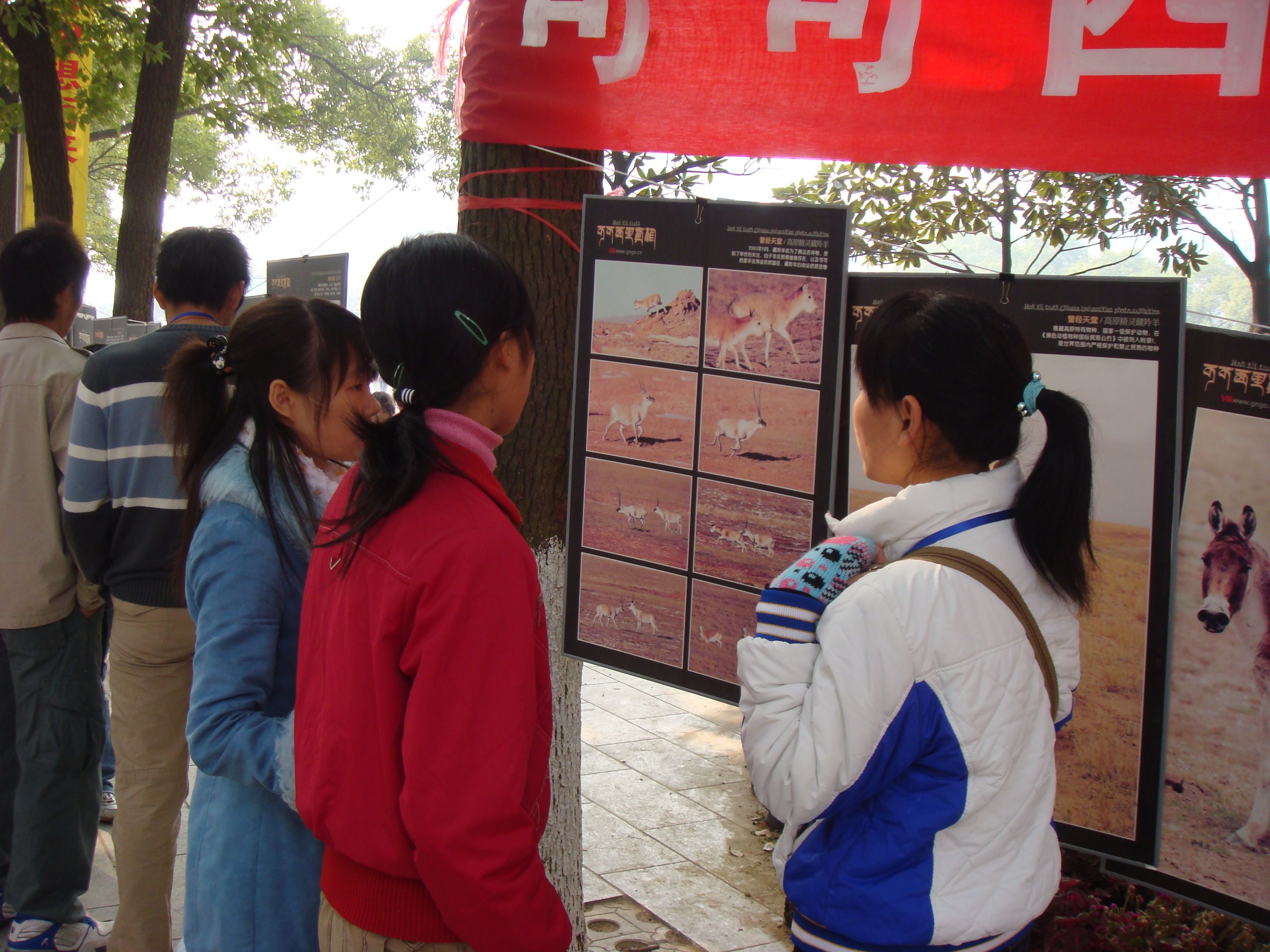DSC00334.JPG