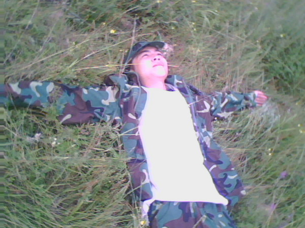 tangzaicaodishang.jpg