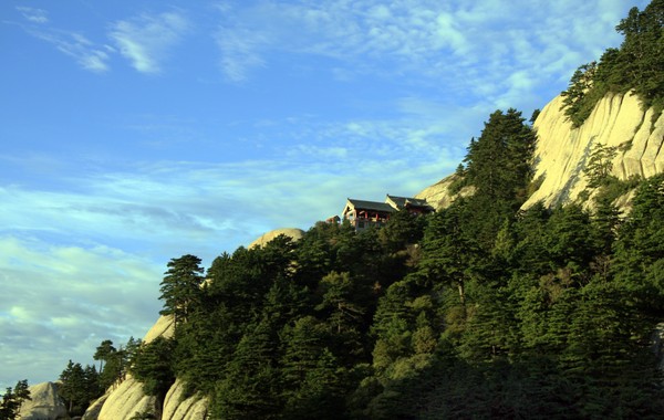 large_E0tn_6028o132094.jpg
