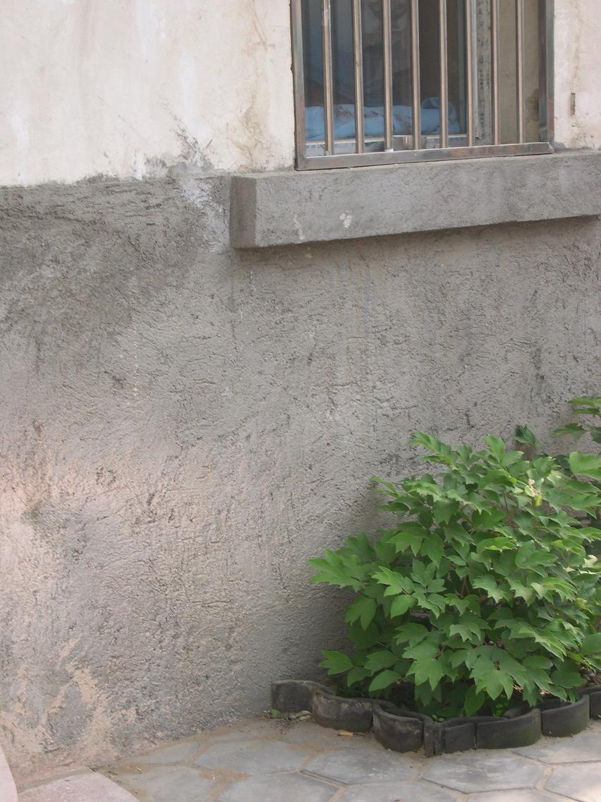 DSCN7113.JPG