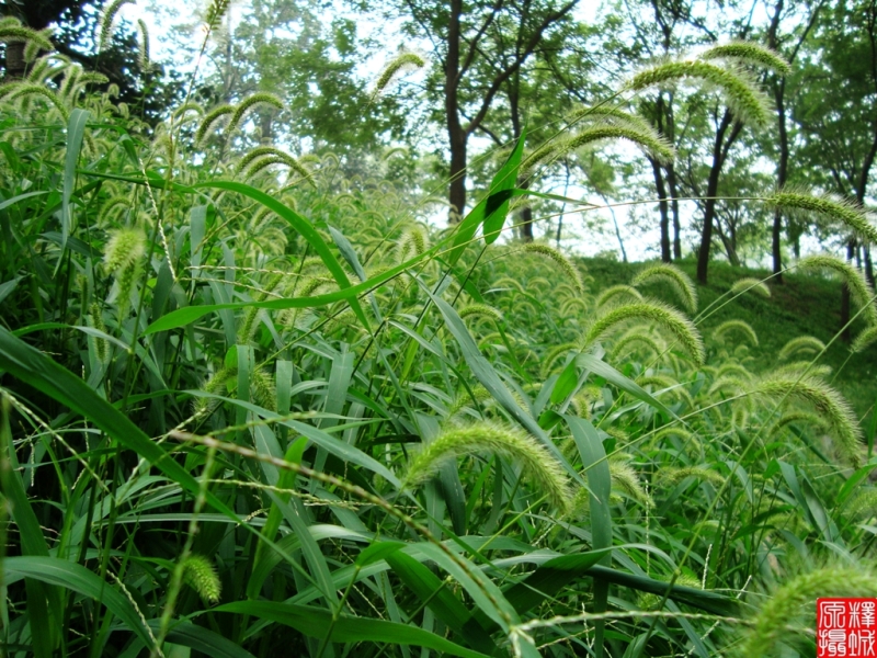 照片 (17).JPG