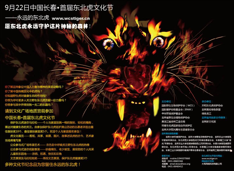 东北虎宣传海报.jpg