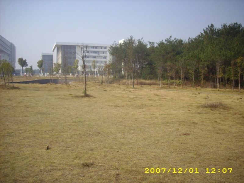 DSCI0093.JPG