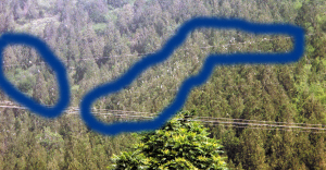 0753010374524638.jpg
