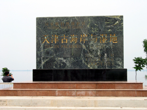 xin_40060125085123007891.jpg