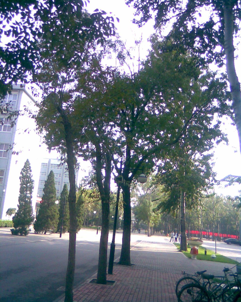 图像010.jpg