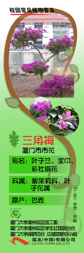 2222_缩小大小.jpg